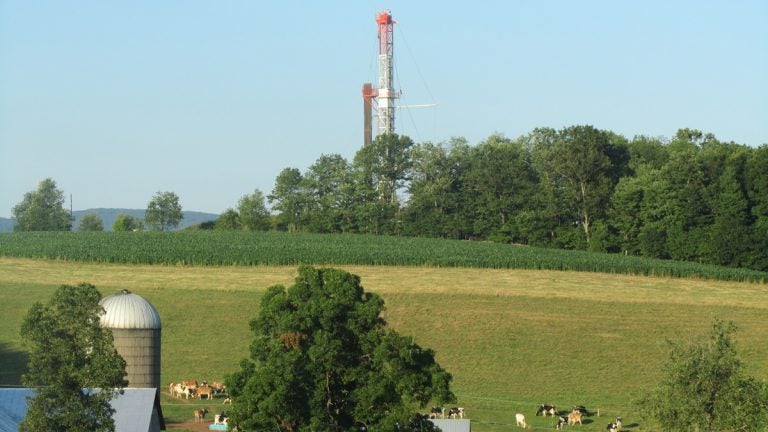 A red and white drilling rig justts out in the background behind a line of trees. Farmland and grass, a silo and cows in the foreground