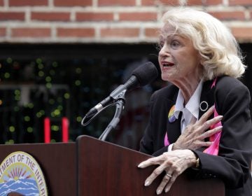 Edith Windsor leads the Pledge of Allegiance during the dedication of the Stonewall National Monument, outside the Stonewall Inn, in New York's Greenwich Village, Monday, June 27, 2016. Windsor passed away Tuesday in New York at the age of 88 (Richard Drew/AP Photo) 