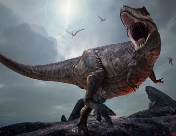 3D rendering of Tyrannosaurus Rex (Herschel Hoffmeyer/Bigstock)