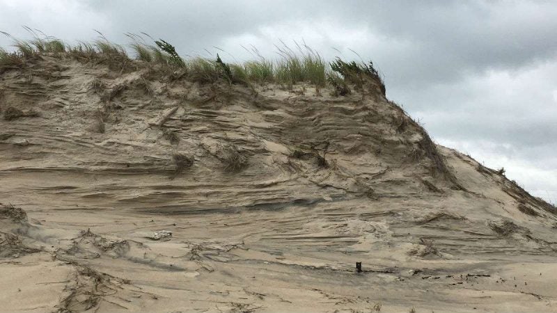 A wind and wave scoured dune south of Dewey Beach.