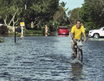  A man rides through storm water in Naples, Fla., in the aftermath of Hurricane Irma, Monday, Sept. 11, 2017. Florida Gov. Rick Scott says there's damage across the state caused by Hurricane Irma and it's still too dangerous for residents to go outside or return from evacuation. (AP Photo/Robert Ray) 