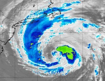 NASA's Aqua satellite captured infrared data on Tropical Storm Jose on Sept. 20 at 2:55 a.m.  (Photo courtesy of NASA)