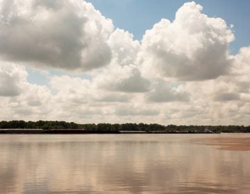 Island 63 lies in the Mississippi River by Clarksdale, Mississippi. The island doesn’t always appear on maps because its shape, size, and exact location often changes depending on the level of the river and floods.