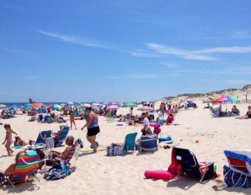 Ocean Bathing Area 1 in Island Beach State Park in July 2014. (Justin Auciello/JSHN) 