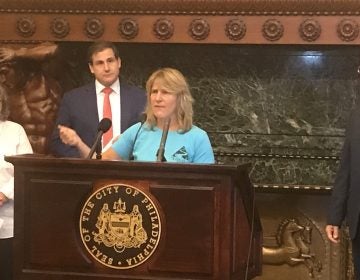  Maya van Rossum of the Delaware Riverkeeper Network pushed for an expanded anti-Slapp law at Philadelphia City Hall. Her nonprofit has faced two such lawsuits in recent years, which she says have been aimed at silencing the group's activism. (Bobby Allyn/WHYY) 