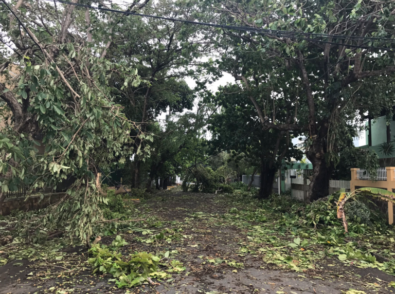 Leaves and tree branches litter a street in Ocean Park, San Juan, Puerto Rico Thursday morning following Hurricane Irma. (Photo: Justin Auciello for WHYY) 