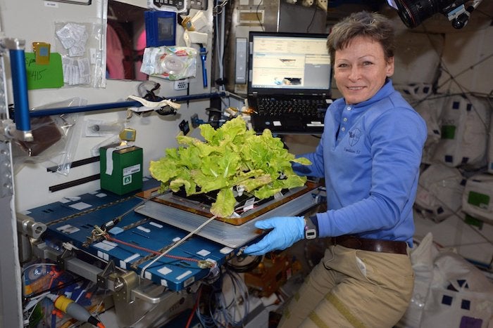 In this image posted to her Twitter feed on May 30, 2017, astronaut Peggy Whitson holds up Chinese cabbage grown in the International Space Station. During her third and latest mission, which began November 2016, the 57-year-old biochemist became the oldest woman in space. (NASA via AP)