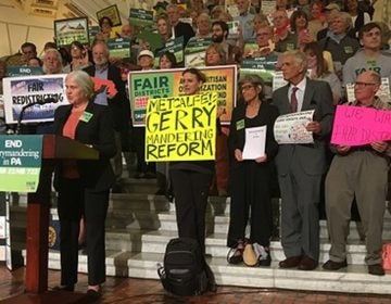 In this 2017 photo, protesters in Harrisburg call on lawmakers to support redistricting reform. (Katie Meyer/WITF) 