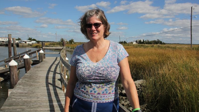 Meghan Wren, director of the Bayshore Center at Bivalve, hopes that oyster reefs will slow erosion and protect the only road to her home on Money Island.
