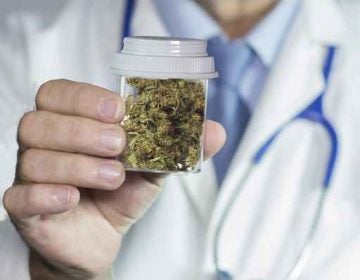 Doctor holding medical marijuana