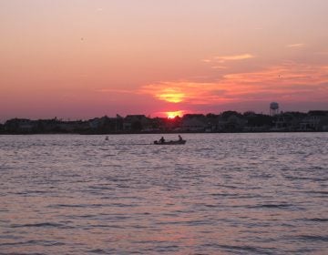 Sunset, a pink sky, and a small boat on Barnegat Bay