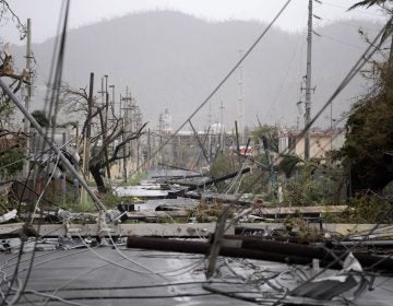 Hurricane Maria smashed poles and snarled power lines in Puerto Rico. Belinda Pastrana, a chemistry professor at the University of Puerto Rico at Mayaguez, says devastation from September’s powerful storm is making it impossible to continue her work on the island. 