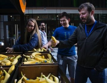 A man at a banana stand