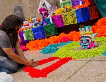 Artist Cesar Viveros arranges paper petals on the floor of the Day of the Dead altar. (Kimberly Paynter/WHYY)