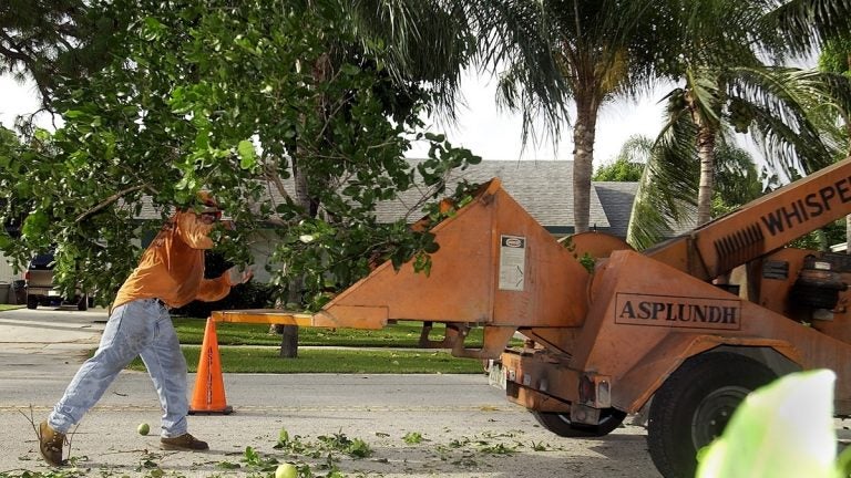 Prosecutors say the Asplundh company 'remained willfully blind' while managers hired workers they knew to be in the country illegally. The company, based in Willow Grove, Pennsylvania, has been fined $95 million. (AP file photo)