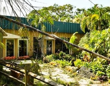 The entrance of the Naples Zoo shortly after Irma hit. (Courtesy of Courtney Jolly)
