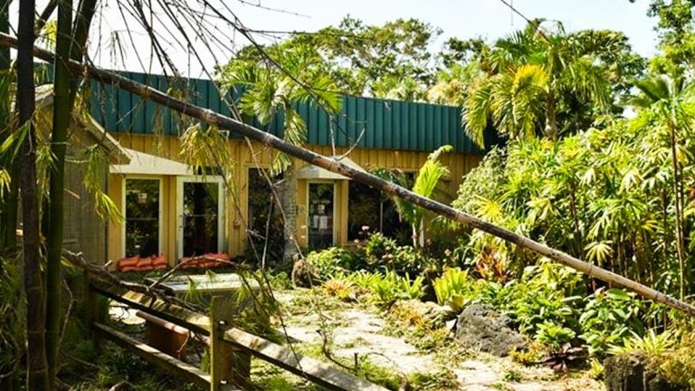 The entrance of the Naples Zoo shortly after Irma hit. (Courtesy of Courtney Jolly)
