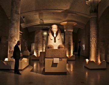 A man looks at a sphinx of red granite in Penn Museum's Egypt gallery