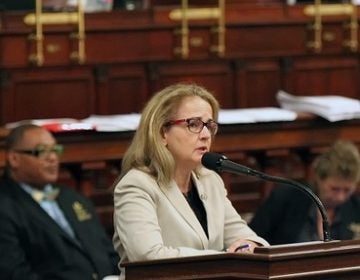 Representative Madeleine Dean, D-Montgomery, addresses her colleagues, as they debate the budget on the floor of the House of Representatives at the Pennsylvania State Capitol in Harrisburg Tuesday June 30, 2015. (Chris Knight/AP Photo, file)