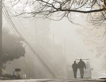 With smoke heavy in the air, a couple walks in the vicinity of a fire at the the Barclay Friends Senior Living Community in West Chester, Pa., Nov. 17. 2017. (Matt Rourke/AP Photo)