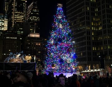 The lit Christmas tree outside of City Hall Friday evening. (Brad Larrison for WHYY)