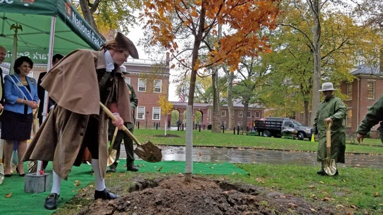 An actor portraying Thomas Jefferson helps plant a new tree in Independence National Historic Park. (Peter Crimmins/WHYY)