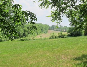 Part of the proposed PennEast pipeline could run through this stretch of land in Bucks County, Pa.