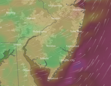 A model simulation from the Windy app that shows winds gusting at the coast to around 40 mph on Sunday morning. 