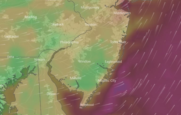 A model simulation from the Windy app that shows winds gusting at the coast to around 40 mph on Sunday morning. 