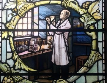 Stained glass windows depicting biologist Alexander Fleming in the church of St James, in London. (Wikimedia Commons)