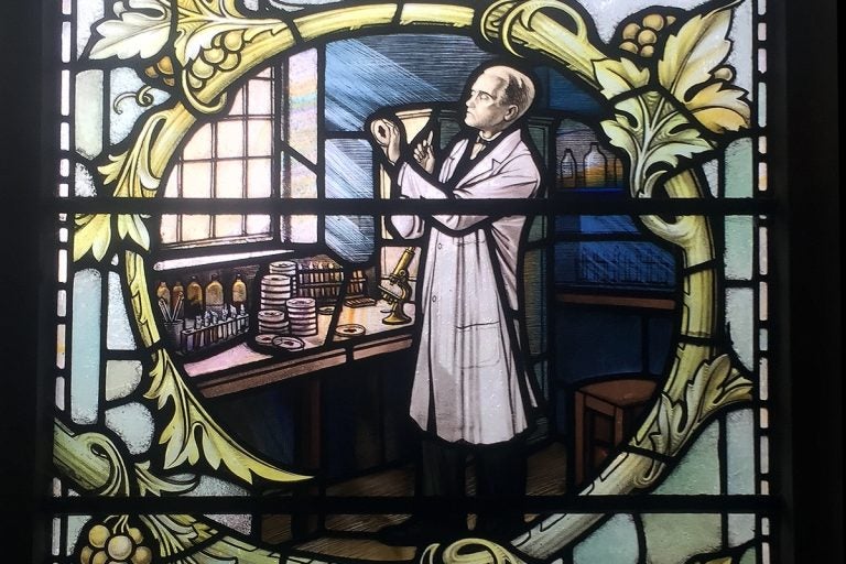 Stained glass windows depicting biologist Alexander Fleming in the church of St James, in London. (Wikimedia Commons)