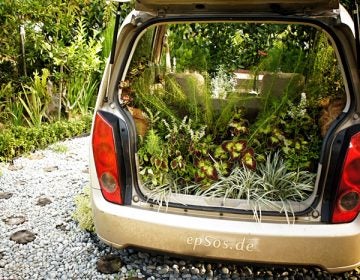 Plants in the back of a car. (image by epsos.de)