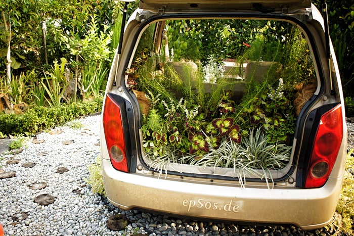 Plants in the back of a car. (image by epsos.de)