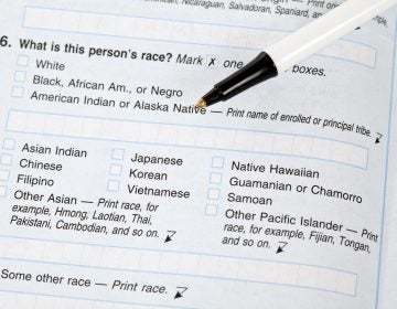 If the White House approves a proposal to change how the government collects race and ethnicity data, white people in the U.S. may be asked to check off boxes about their ethnic background. But on this 2010 Census form, answering 