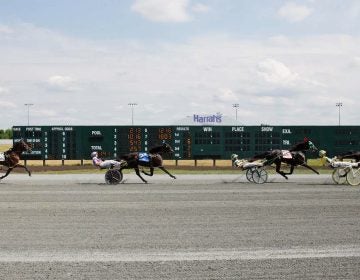 Drivers shift their weight and pull back on their harnesses during an afternoon race at Harrah's Philadelphia Casino & Racetrack in Chester, Pennsylvania. July 2014