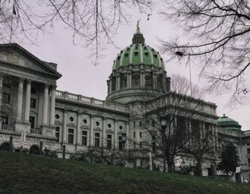 Pennsylvania State Capitol in Harrisburg. (WITF)