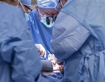 Doctors transplant a uterus
