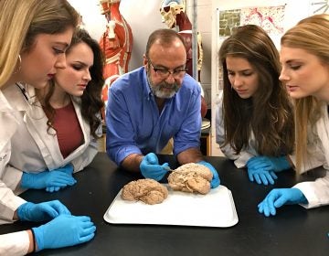 Biology professor James Cosentino (center) examines a brain at Millersville University with students (from left) Katy Good, Lexi Colgan, Clara Forney, and Jessica Hanner.