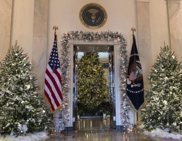 The official White House Christmas tree, center, is seen in the Blue Room during a media preview of the 2017 holiday decorations at the White House in Washington, Monday, Nov. 27, 2017. (AP Photo/Carolyn Kaster)
