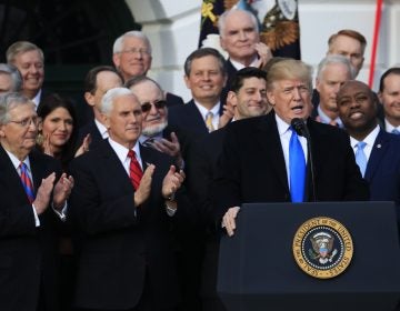 President Donald Trump, with, from left, Senate Majority Leader Mitch McConnell of Ky., Vice President Mike Pence, House Speaker Paul Ryan of Wis., and Sen. Tim Scott, R-S.C., speaks about the passage of the tax bill on the South Lawn at the White House in Washington, Wednesday, Dec. 20, 2017.