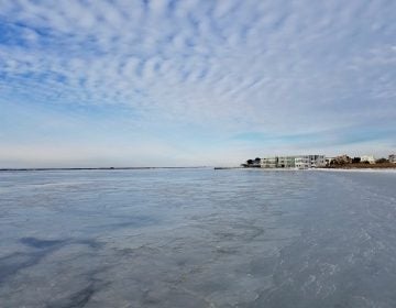 The frozen Barnegat Bay in January 2017. (Image: Harvey Cedars Beach Patrol)