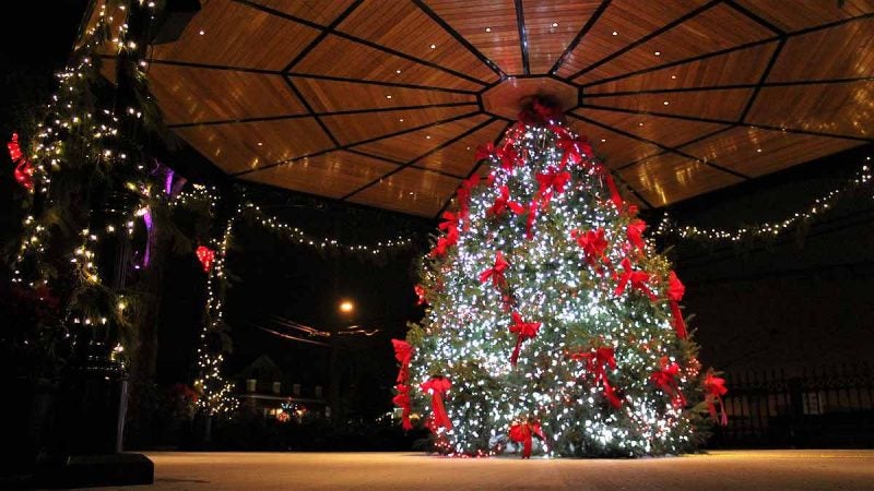 Cape May at night. (Bill Barlow/for WHYY)