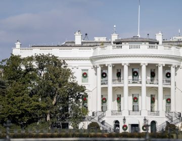 The historic Jackson Magnolia, planted on the south grounds of the White House, was trimmed back on Wednesday. The tree is in poor health, needs artificial support and is in danger of falling.
(Andrew Harnik/AP)