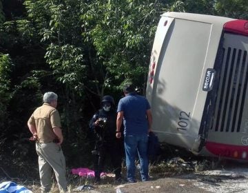 Police and paramedics at the scene of a tourist bus crash in eastern Mexico Tuesday. Most of the passengers on board were had arrived aboard cruise ships and were going to view Mayan ruins.