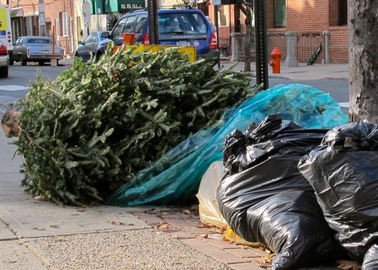 A Christmas tree is shown on a curb with the week's trash.