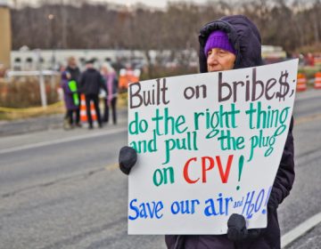 Roz Gitt from Warwick, New York, protests in front of the construction site for the new CPV natural gas plant in Wawayanda. The plant would run on Pennsylvania's Marcellus Shale gas.