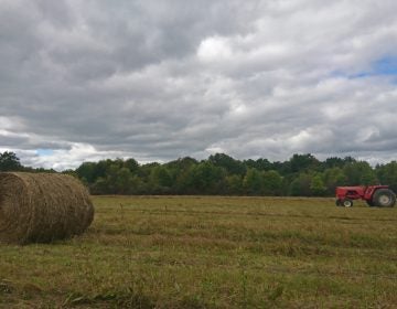 Farmland on the outskirts of the Titusville School District (Kevin McCorry/WHYY)