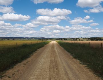 The road leading to Ian McLennan's 5,000-acre farm. (Kate Golden/for WHYY)
