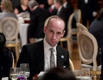 President Donald Trump's White House Senior Adviser Stephen Miller arrives for a state dinner for President Donald Trump and Japanese Prime Minister Shinzo Abe the Akasaka Palace, Monday, Nov. 6, 2017, in Tokyo.