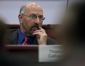 Pennsylvania State Rep. Tom Caltagirone, D-Berks, chairman of the House Judiciary Committee, listens to testimony during a House Judiciary Committee public hearing in Harrisburg, Pa.